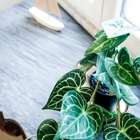 Gæstehus Switch 9 3*