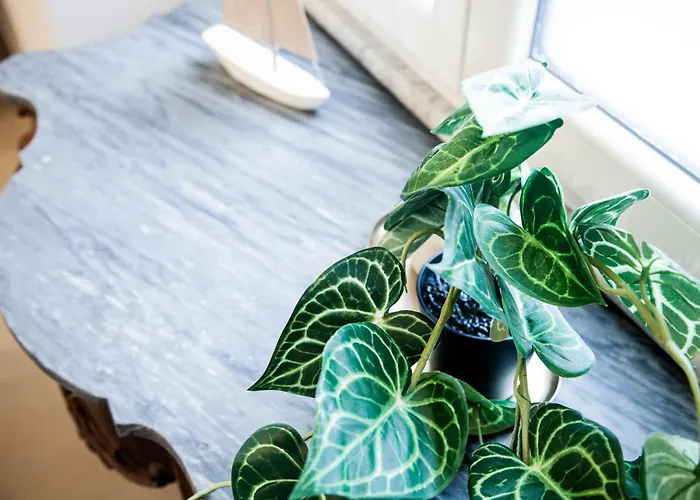 Casa de hóspedes Switch 9 3*